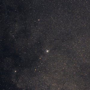 M11