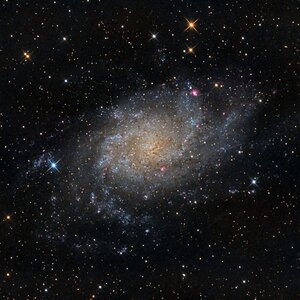 M33
