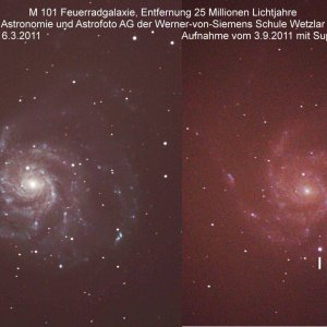 SN in M101