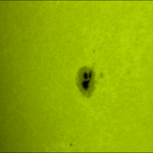 Sonnenflecken