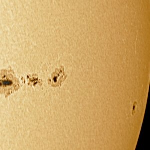 sonnenflecken25092011eingefaerbt.jpg
