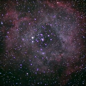 ngc 2244
