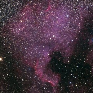 NGC7000