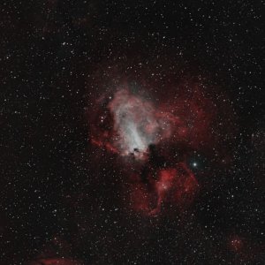 Reg_M17-BICOLOR.jpg