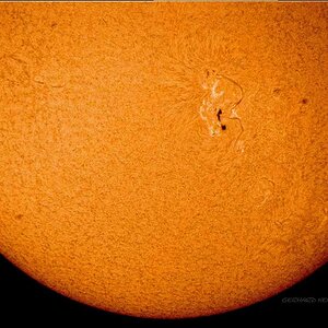 Sonnenfleck am 29.9.2011