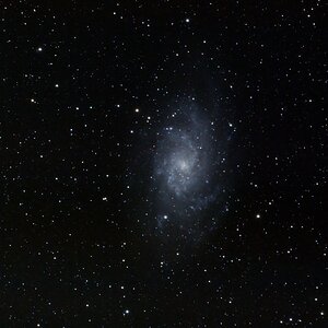 Noch eine M33 mit 300mm