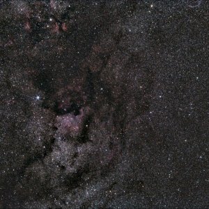 NGC 7000 und Umgebung - 50mm