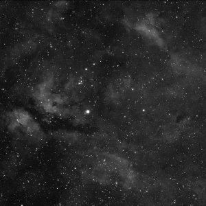 IC1318