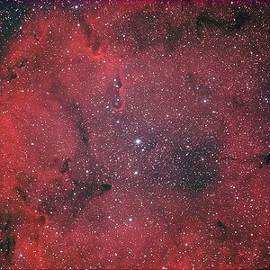 IC 1394