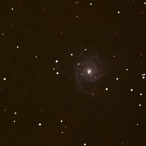 M74