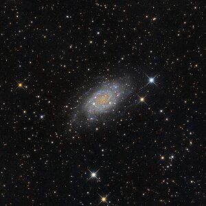 NGC2403