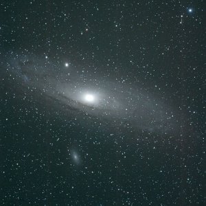 M31