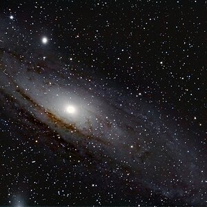 Mal wieder M31