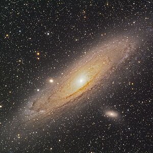 M31