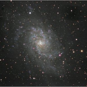 M33 mit Vixen ED80 Sf