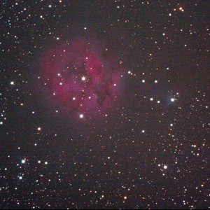 IC5146_web_2.jpg