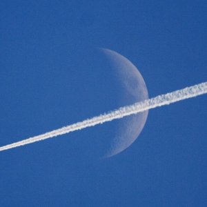 moon.jpg