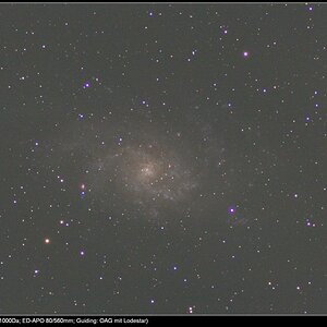 M33