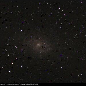 M33