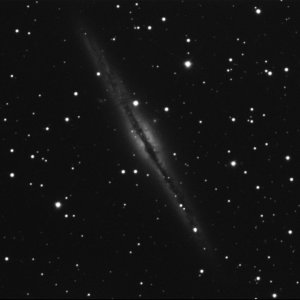 ngc891