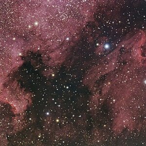 NGC 7000 - Nordamerika- und Pelikannebel