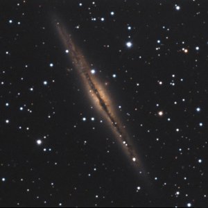 ngc891
