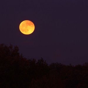 Mondfinsternis / Mondaufgang 10.12.2011