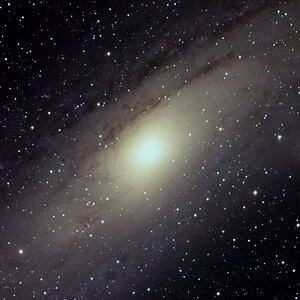 M31, erstes LRGB
