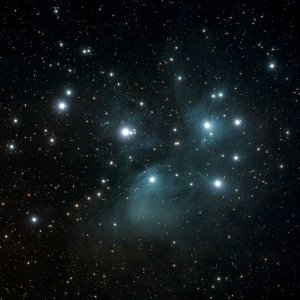 M45 repro