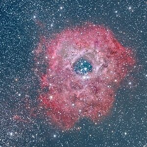 NGC 2244/Rosettennenbel