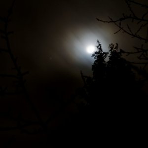IMG_3455_DxO_hf.jpg
