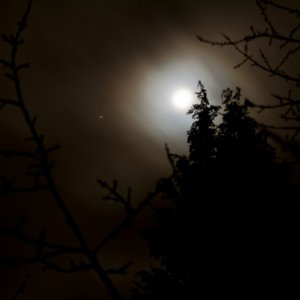 IMG_3452_DxO_hf.jpg