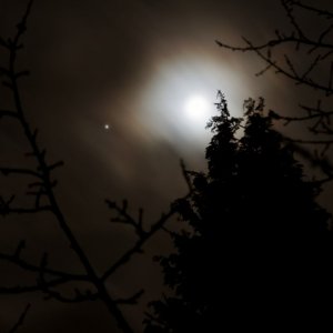 IMG_3449_DxO_hf.jpg