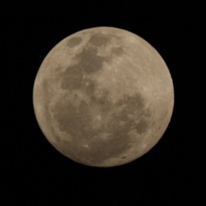 IMG_0334.JPG