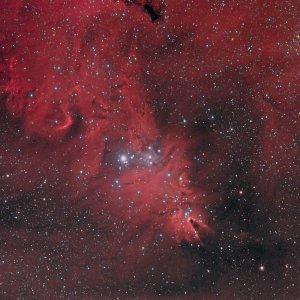 2012_01_14-17 - NGC2264_Ha-RGB_klein.jpg