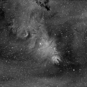 2012_01_17 - NGC2264_Ha_klein.jpg