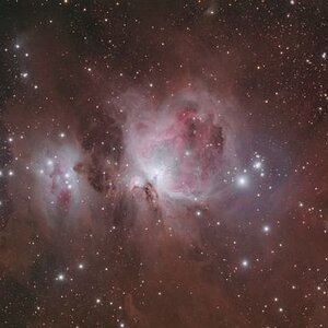 M42