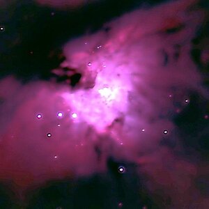 Paradiesvogel im Orion Nebel