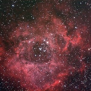 NGC2244 - Nebel im Einhorn