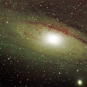 M31