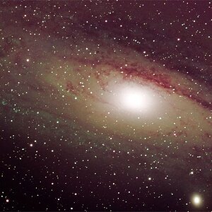 M31