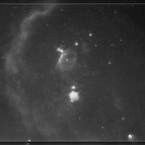 Orion