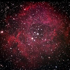 NGC2244