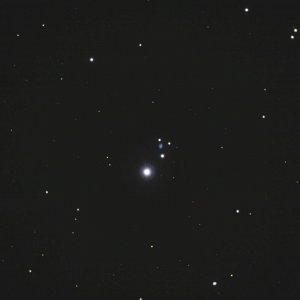 Alcyonefastscharf.jpg