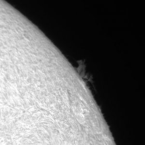 Sonne 4_2_2012 Bild_1.jpg