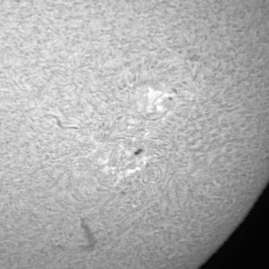 Sonne 4_2_2012 Bild_3.jpg