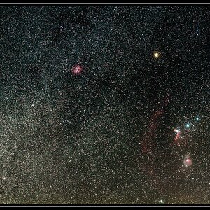 Orion