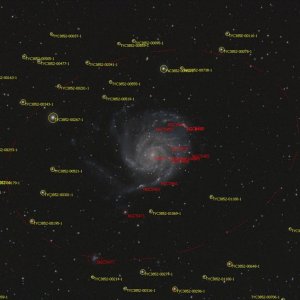 M101_T.jpg