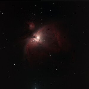 M42