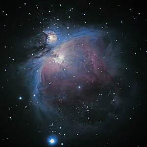 M 42